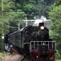 ■2014年3月度、大井川SL列車で行く婚活ツアーレポート ■2014年3月度、大井川SL列車で行く婚活ツアーレポート