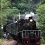 ■2014年3月度、大井川SL列車で行く婚活ツアーレポート ■2014年3月度、大井川SL列車で行く婚活ツアーレポート